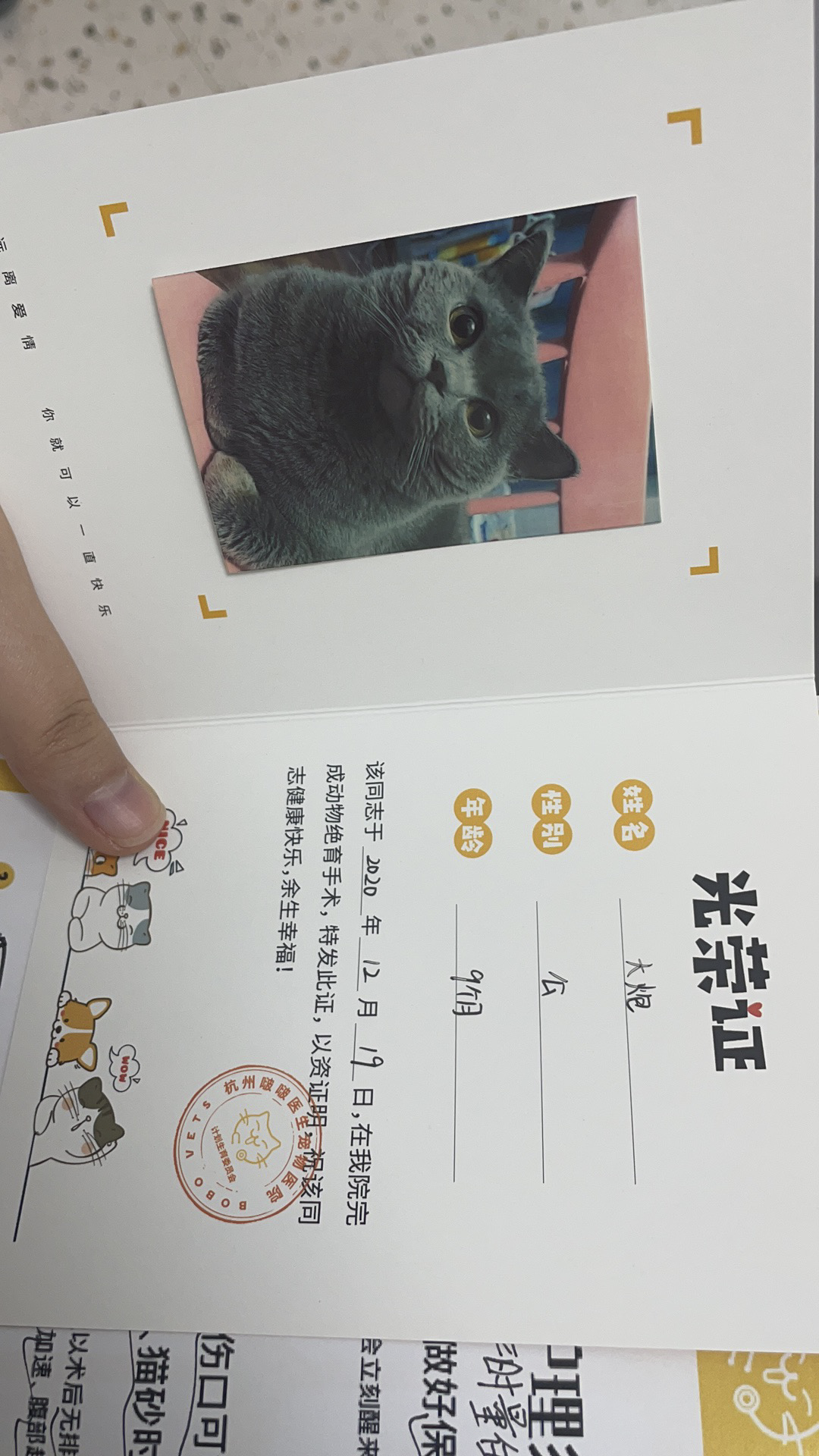 2021.02.06-单身独居的杭漂女生记之养猫带来了什么改变-Skywen天问信息